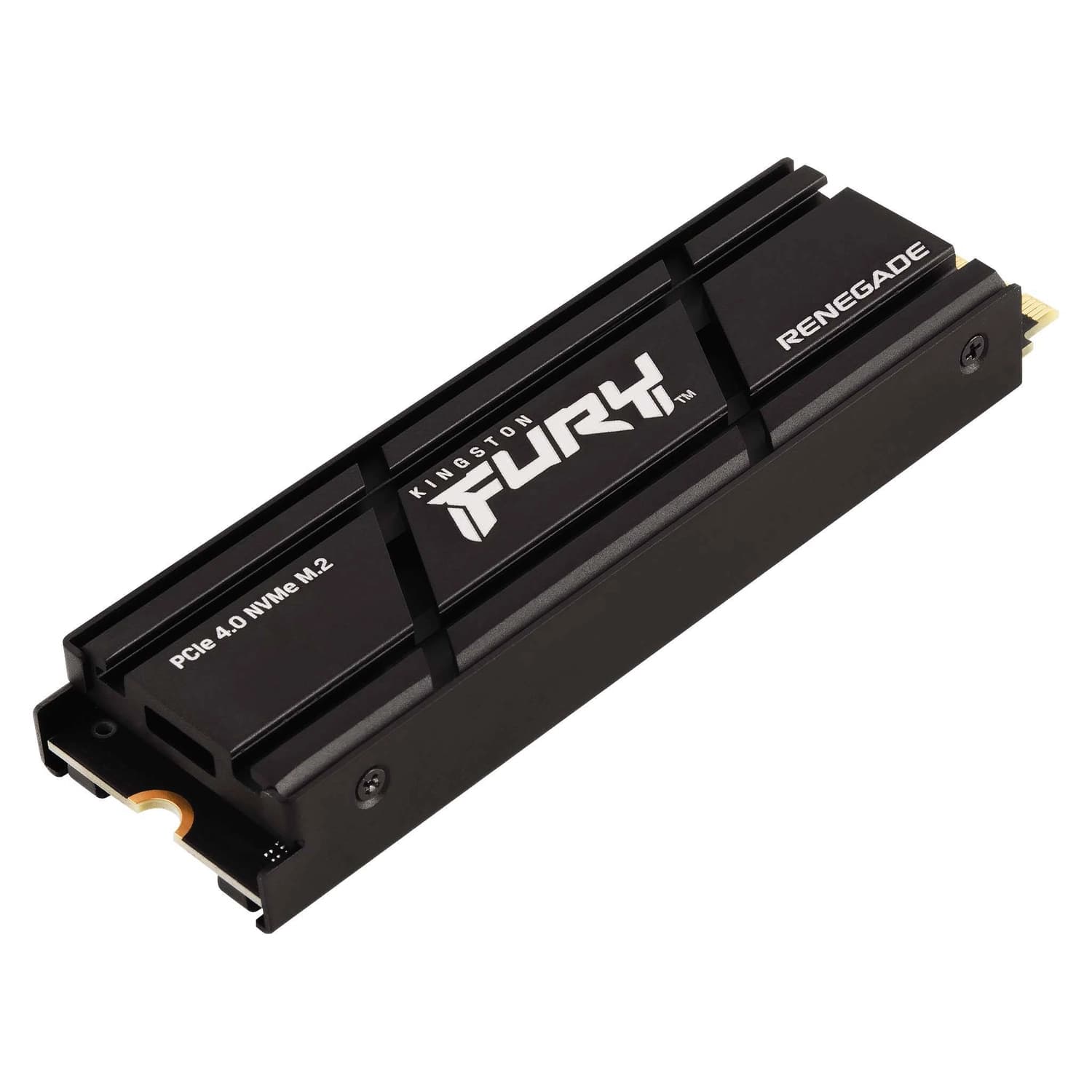 Disco SSD 1T Renegade M.2 2280 PCIe 4.0 NVMe